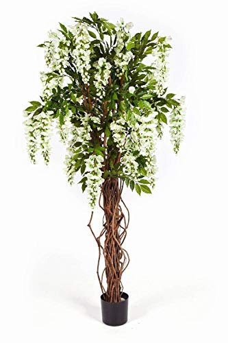 artplants.de Deko Goldregenbaum weiß, 975 Blätter, 35 Blüten, 180cm - Kunstbaum - Künstliche Blumen
