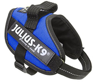 Julius-K9 IDC Powerharness, Blue, S/Mini
