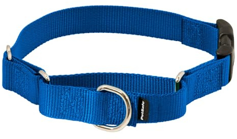 PetSafe Martingale-Hundehalsband mit Schnellverschluss-Schnalle, Größe S, 1,9 cm, Königsblau