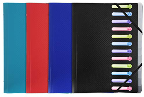 Exacompta 55180E Premium Ordnungsmappe Opak. Aus stabilem Kunststoff DIN A4 12 Fächer 3 Klappen dehnbarer Rücken und 2 Gummizüge Register-Mappe Eckanner-Mappe 1 Stück Zufallsfarbe