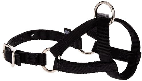 Weaver Llama-Halfter aus Leder