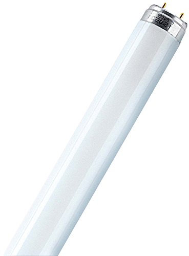 Osram Lumilux T8 G13 L 15 W/840 Lampada fluorescente, flourescent tube, tubolare