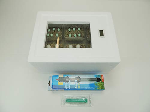 Campo24 ST2 Reptilien Inkubator/Incubator/Brutmaschine/Brutapparat/Brüter/Brutkasten Reptilien Inkubator Komplettset–Brutkasten für Reptilieneier mit 25W Heizstab & Digitalthermometer bis zu 48 Eier