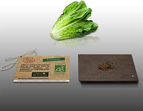 250 graines Bio à semer - Le Grenier d'Abondance - LAITUE ROMAINE Bio Ballon - Certifié AB - Lactuca