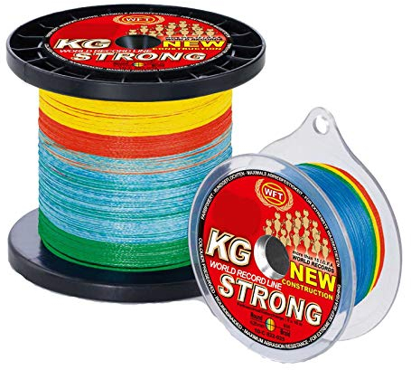WFT KG Strong Exact geflochtene Schnur 480m 0,22mm 32kg, Farbe:Multicolor