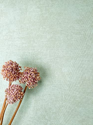 NEWROOM Papier peint Vert Couleur Unie Intissé - Couleurs Unies Menthe Vert Clair Texture Texture Moderne