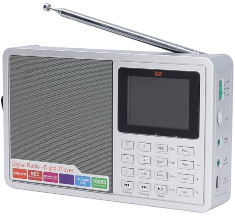 Bewinner Dab+ Radio Digital con Pantalla LCD de 2.4 Pulgadas, Receptor Estéreo FM, Grabación de Transmisión, Batería de 2200 MAh, Soporte USB AUX para el Hogar, Oficina Al Aire Libre