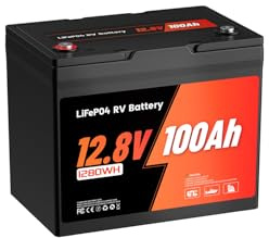 RV LithTime Batterie Lithium 12V 100AH, Batterie LiFePO4 avec Protection à Basse Température, BMS Intelligent, 1280Wh Énergie, pour caravanes, camping-car, système solaire,pêche à la ligne