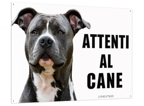 AMSTAFF atención al perro mod 3 placa de metal (15 x 20 cm)