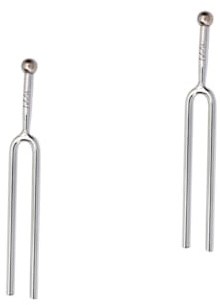 SAFIGLE 2stücke Stimmgabel Für Präzises Stimmen Von Instrumenten Hochwertiges a Stimmgerät Für Gitarre Und Violine Silber Für Musiker Und Lehrkräfte