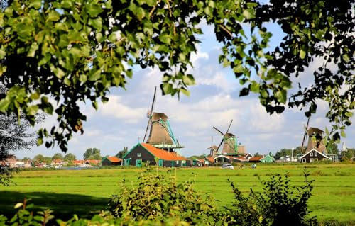 GUOHLOZ Puzzle 1500 Teile Puzzle für Erwachsene und Kinder ab 6 Jahren Puzzle für Wohnkultur, Bäume, Niederlande, Windmühle, 87x57cm