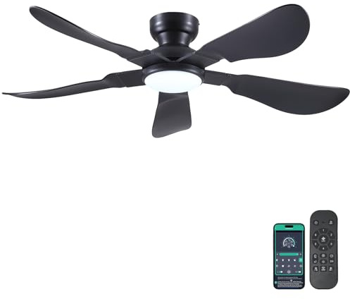Kviflon 52 In Ceiling Fans with Lights Remote/APP,5 Reversible Blades Black