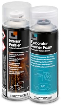 ERRECOM Total Care, Purifying Treatment for Vehicle Air Conditioning Systems, Oud Scent, 2 x 200 ml Aerosol Cans