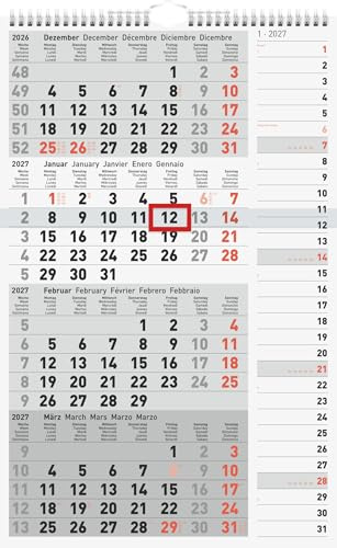 rido/idé 4-Monatskalender 2027 | grau, 30×49 cm