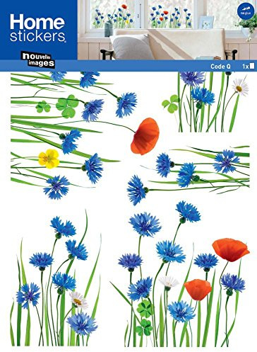 Stickers Fenêtres Champ de bleuets (COPPIETERS VAN CAUWENBERGHE ) Nouvelles Images