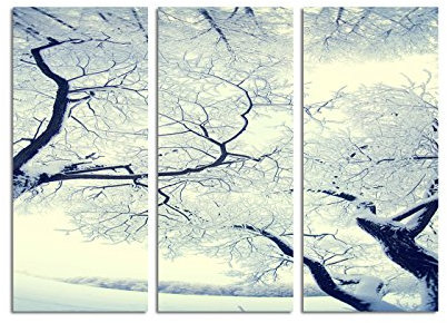 Paul Sinus Art 130x90cm – Keilrahmenbild Wintermärchen Schnee weiße Bäume 3teiliges Wandbild auf Leinwand und Keilrahmen - Fotobild Kunstdruck Artprint