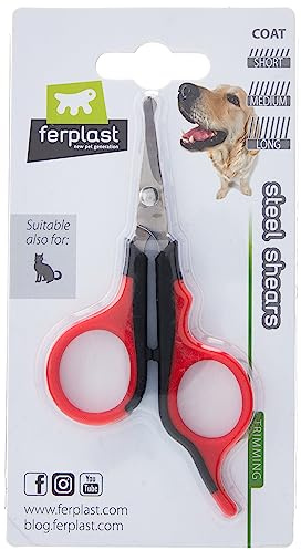 Ferplast Tijeras para esquila de perros y gatos, hojas de acero inoxidable y puntas redondeadas, aptas para pelo corto, medio y largo.