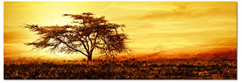 Panoramabild auf Leinwand und Keilrahmen 150x50cm Afrika Baum Silhouette Sonnenuntergang