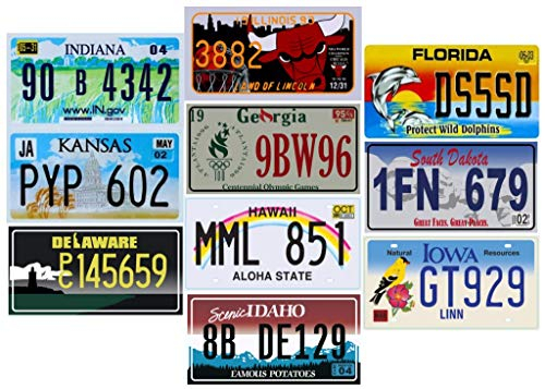 - Set di 10 TARGHE di 10 Diversi Stati degli Stati Uniti - Replica di targhe automobilistiche in Metallo USA Reali (P2)
