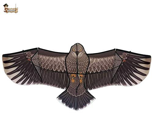 BricoLoco.com Espantapájaros Cometa halcón de Vela para huerto y jardín. Eólico accionado por el Viento. Ahuyentador, Anti Palomas y Aves.