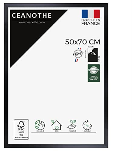 Ceanothe Cadre Photo 50x70 cm Gris Moderne et Elégant Convient au A2 et Affiche Poster-Collection PRECIOUS Verre acrylique Incassable - Fabriqué en France
