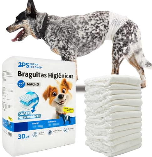 BPS 30Pcs Braguita Higiénica Pañal Sanitarios Macho para Perro Mascotas Fisiológicas Bragas Higiénicas 3 Tamaños a Elegir (S) BPS-2217