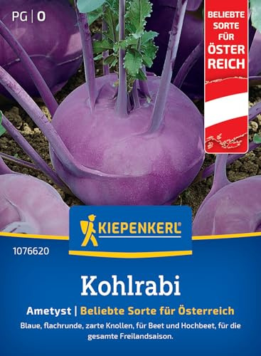 Kiepenkerl Kohlrabisamen Ametyst F1 1076620, Gemüsesaat | Flachrunde Knollen mit zartem Fleisch, für Freiland & Hochbeet, platzfest, Aussaat ab Anfang