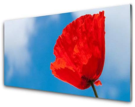 Tulup Acrylic Print 100x50cm Wall Art - Wall Picture on Plastic Acryl Glass - Tulip Floral