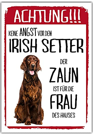 Irish Setter Dog Schild Achtung Zaun Frau Spruch Türschild Hundeschild Warnschild Geschenkidee lustiger Spruch Hundemotiv Aluminium Wetterfestes Hundeschild