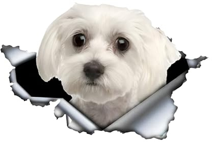 Autoaufkleber Malteser Aufkleber 15cm(5.9 Inch) Malteser Car Sticker 3D Zerrissen Reflektierende Autoaufkleber Wasserdichte Haustier Hund Lustig Aufkleber Laptop Stoßstange Heckscheibe Dekor