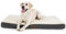 BEDSURE orthopädisches Hundebett Grosse Hunde - 112x81x7.6cm Hundekissen flauschig Hundematte waschbar Hundematratze in grau für große Hunde