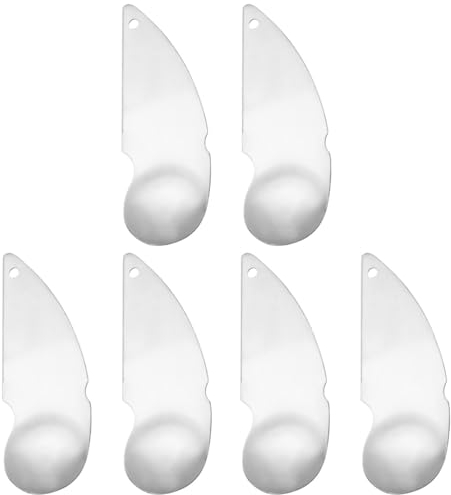 BESTonZON 6pièces Outils Acier Inoxydable Pour Kiwi Cuillères à Fruits Pratiques Pour Éplucher Et Creuser Les Kiwis Et Avocats Pour Cuisine Restaurant Et Maison