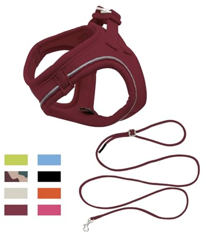 Qianruida Kleines Hundegeschirr mit Leine, Anti-Traktionsgeschirr für Welpen Verstellbares Hundegeschirr Ohne Strangulation, Atmungsaktives Mesh-Geschirr Mit Reflektierendem Band(Weinrot XXS)