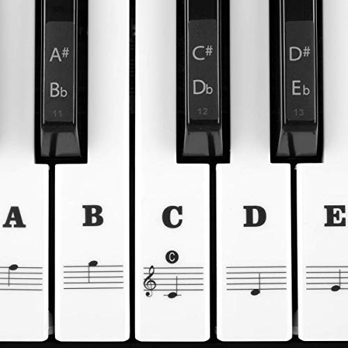 Klavier Keyboard Aufkleber für 54/61/ 76/88 Tasten | Noten Piano Sticker für Weiße & Schwarze Tasten Transparent und Abnehmbar (Schwarz)