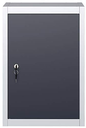 Festnight Wand-Werkzeugschrank Industriedesign Werkzeugschrank Industriedesign Metall Werkstattschrank Metall Grau und Schwarz 40 x 19 x 60 cm