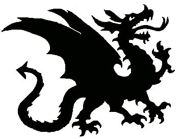 Metall-Design-Westküste Drache 20cm-100cm aus 3mm Stahl (40cm)