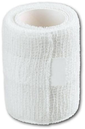 Askina Fixierbinde Kohäsiv 8 cmx20 M, 1 St