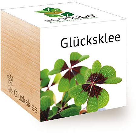 Feel Green Ecocube Lucky Clover, Idea regalo sostenibile (100% Eco-Friendly), Grow Your Own / Set di piante, Piante in Wood Cube, Made in Austria