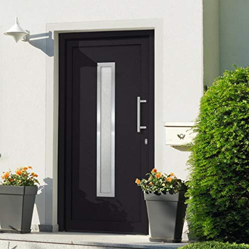 vidaXL Haustür mit Handgriff-Set Montageset 3 Schlüssel Nebeneingangstür Kellertür Eingangstür Außentür Wohnungstür Tür Anthrazit 98x200cm