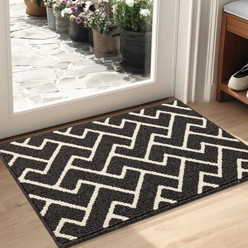 Biscpro Inomhusdörrmatta, entrématta, inomhus, vattentät, halksäker, absorberande, entrématta, tvättbar, kök, badrum (Dark Grey, 50 x 80 cm)