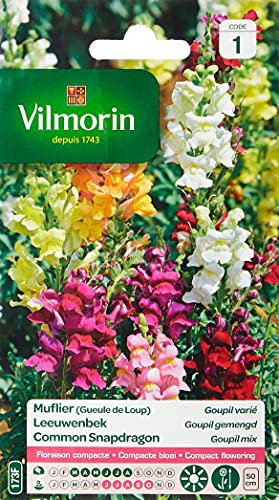 Vilmorin 5363041 Muflier Goupil Multicolore 9 x 0.5 x 16 cm
