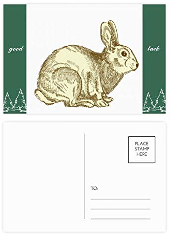Oster-Postkarten-Set für Religion, Hasenkultur, Glück, 20 Stück