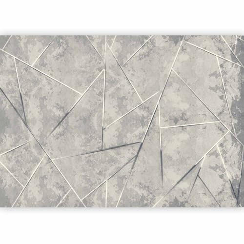 murando - Carta da Parati Adesiva Moderna, Calcestruzzo, 343x256 cm | Fotomurale Autoadesiva, Pellicola Murales, Decorazione da Muro XXL, Poster Giganti da Parete, Astratto, Grigio