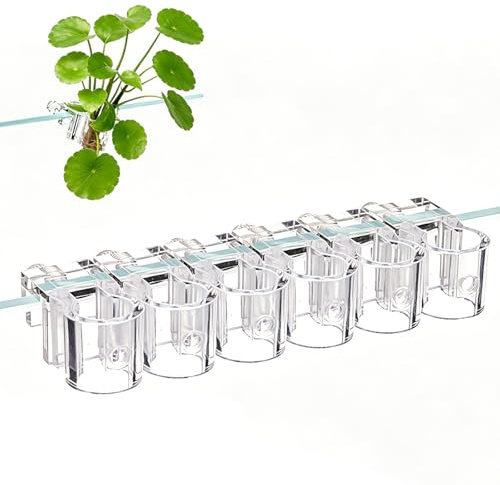 Leopacat 6 Piezas Soporte Transparente para Plantas de Acuario Reutilizable | Transparentespara Acuario de Cristal de 8-15 mm de Grosor Loto Sistema de Acuaponía Helechos
