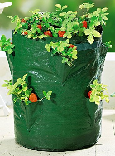 handelgross Erdbeer Pflanztaschen Pflanzsäcke Pflanzgefäß Pflanzer Kräuter ca. Ø 33/H. 45 cm 2 Stück für Balkon