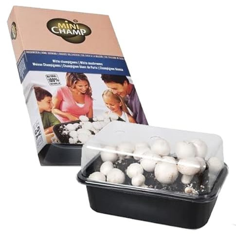White Mushroom Growing Kit - Grown Your Own - Instructions Included