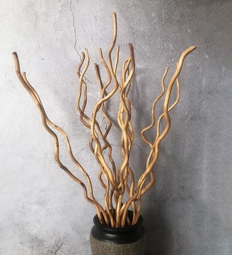 58 cm Dried Curly Willow Branches, 15 Stems Dried Twigs Wooden Sticks, Natural Dried Plants Decorative Branches for Xmas Rustic Home Decor (Champagne Gold)