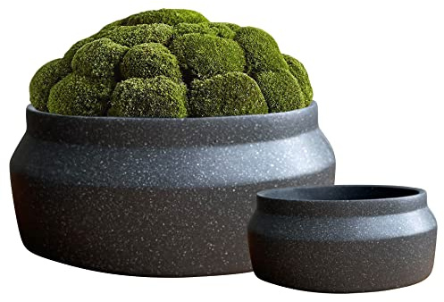 Olly & Rose Flache Blumentöpfe Set 2 Sukkulenten Pflanztöpfe Runde Keramik Pflanzgefäße Indoor Kaktus Bonsai Sukkulenten Blumentöpfe Breit Pflanztopf Schale Indoor Übertöpfe, Grau