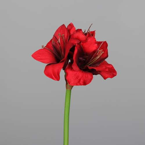 mucplants Künstliche Amaryllis Blume Rot 50cm Rittersterne Hippeastrum Dekoblume Kunstblume
