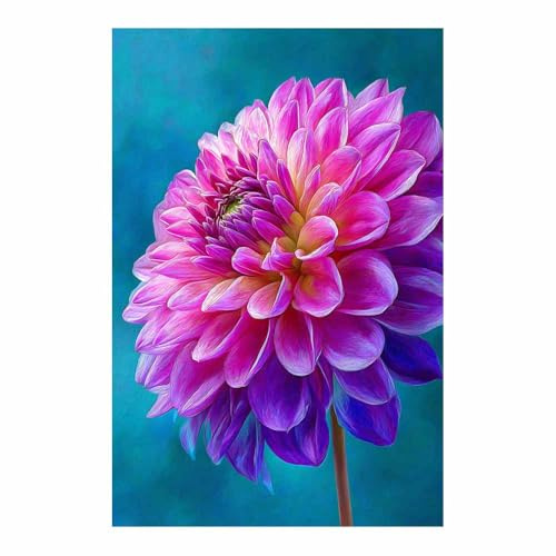 ZAMAEIU Bild Blumen Dahlien bilder natur, leinwandbilder, Für Bauernhaus, Büro, Galerie, Küche.(rosa138)-80x120cm Ungerahmt
